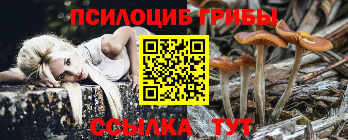 Псилоцибиновые грибы Psilocybine cubensis Кувандык