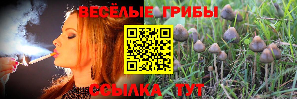 магазин продажи   Галлюциногенные грибы прущие грибы  Вход с VPN  Галлюциногенные грибы прущие грибы  Кувандык 
